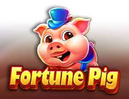 Live Casino skg6060